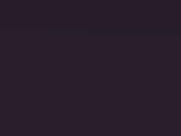 Kia Carens Violet Iris Met. 2006 9V