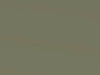 Kia Picanto Kiwi Green Met. 2005 A7