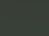 Kia Carens Electronic Green Met 2014 Aeb