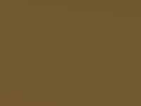 Kia Picanto Honey Bee/Yellow Met. 2021 B2Y