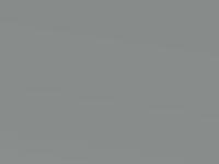 Kia Carens Diamond Silver Met. 2007 C5