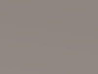 Kia Carens Cream Gold Met. 2007 D8