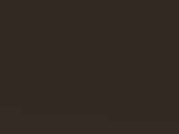 Kia Carens Java Brown Met. 2008 H5