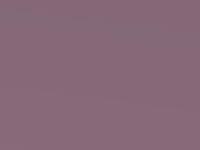 Kia Carens Moon Light Blue Met. 2011 I2