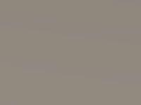 Kia Carens Light Almond Beige Met. 2008 J6