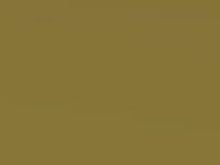 Kia Picanto Lime Yellow Prl. 2021 L2E