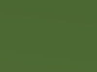 Kia Picanto Samba Green Met. 2006 M5