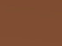 Kia Picanto Orange Met. 2005 O3