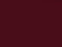 Kia Carens Ruby Red Met. 2005 R9