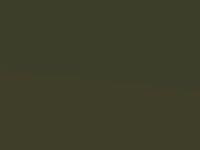 Kia Carens Soldier Green Met. 2001 S2