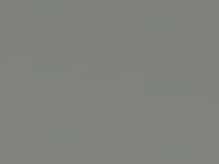 Kia E-Niro Snow White Met. 2020 Swp