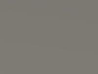 Kia Carens Pearl White Met. 2003 U3