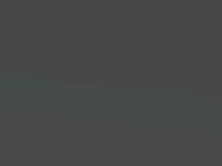 Kia Carens Pewter Grey Met. 2001 V9