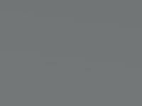 Kia Carens Weight Silver Met. 2000 W3