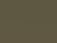 Kia Carens Gold Sand Met. 2000 W4