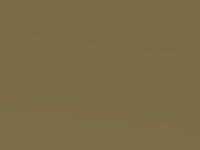 Kia Picanto Lemon Yellow Met. 2006 Y2/05