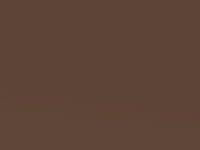 Nissan Nv300 Copper Brown Met. 2019 Brt - Scratch Repair