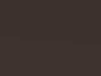 Nissan Qashqai Bronze Met. 2016 Cap - Scratch Repair