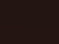 Nissan X-Trail Dark Brown Met 2019 Cas