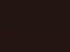 Nissan X-Trail Dark Brown Met 2019 Cas