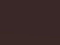 Nissan Almera Ladyish Brown Pearl Graphite Met. 1995 Ck2 - Scratch Repair