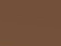 Nissan Micra Caramel Brown Met. 1998 Ct0 - Scratch Repair