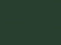 Nissan Micra Moos Green Met. 2005 D15