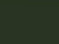 Nissan Almera Green Iron Oxide Prl. Met. 2004 Ds2 - Scratch Repair