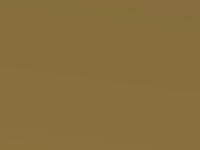 Nissan Note Vivid Yellow Met. 2006 E42 - Scratch Repair