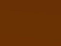 Nissan Micra Energy Orange Prl. 2018 Ebf - Scratch Repair