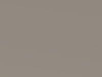 Nissan Almera Beige Met. 2003 Ev0 - Scratch Repair