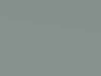 Nissan Micra Greenish Silver Pearl Met. 2004 Fl0 - Scratch Repair