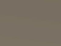 Nissan Micra Warm Silver Met. 2020 Knv - Scratch Repair