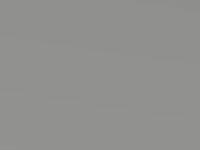 Nissan Micra Platinum Silver Met. 2018 Zbd - Scratch Repair