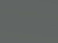 Suzuki Ignis Galactic Grey Met. 2016 Zcd