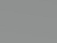 Toyota Hilux Silver Met. 2012 1D0