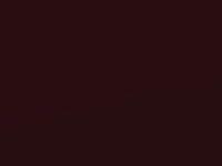 Toyota Avensis Burgundy/Red Met. 2014 3Q7