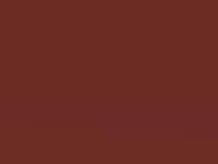 Toyota Proace Karneolorange Met. 2018 Khk